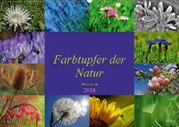 Farbtupfer der Natur - Blütenpracht (Wandkalender 2018 DIN A2 quer) Dieser erfolgreiche Kalender wurde dieses Jahr mit gleichen Bildern und aktualisiertem Kalendarium wiederveröffentlicht