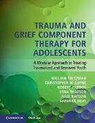 Trauma and Grief Component Therapy for Adolescents