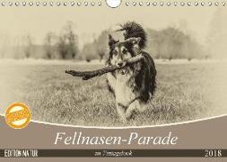 Fellnasen-Parade im Vintagelook (Wandkalender 2018 DIN A4 quer) Dieser erfolgreiche Kalender wurde dieses Jahr mit gleichen Bildern und aktualisiertem Kalendarium wiederveröffentlicht