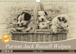 Parson Jack Russel Welpen (Wandkalender 2018 DIN A4 quer) Dieser erfolgreiche Kalender wurde dieses Jahr mit gleichen Bildern und aktualisiertem Kalendarium wiederveröffentlicht