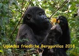 Ugandas friedliche Berggorillas (Wandkalender 2018 DIN A3 quer) Dieser erfolgreiche Kalender wurde dieses Jahr mit gleichen Bildern und aktualisiertem Kalendarium wiederveröffentlicht