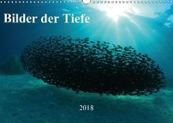 Bilder der Tiefe 2018 (Wandkalender 2018 DIN A3 quer) Dieser erfolgreiche Kalender wurde dieses Jahr mit gleichen Bildern und aktualisiertem Kalendarium wiederveröffentlicht
