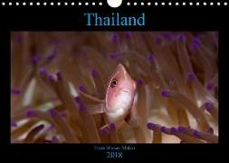 Thailand - Unter Wasser Makro (Wandkalender 2018 DIN A4 quer) Dieser erfolgreiche Kalender wurde dieses Jahr mit gleichen Bildern und aktualisiertem Kalendarium wiederveröffentlicht