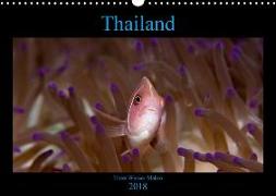 Thailand - Unter Wasser Makro (Wandkalender 2018 DIN A3 quer) Dieser erfolgreiche Kalender wurde dieses Jahr mit gleichen Bildern und aktualisiertem Kalendarium wiederveröffentlicht