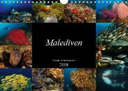 Malediven - Die bunte Unterwasserwelt (Wandkalender 2018 DIN A4 quer) Dieser erfolgreiche Kalender wurde dieses Jahr mit gleichen Bildern und aktualisiertem Kalendarium wiederveröffentlicht