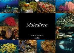 Malediven - Die bunte Unterwasserwelt (Wandkalender 2018 DIN A3 quer) Dieser erfolgreiche Kalender wurde dieses Jahr mit gleichen Bildern und aktualisiertem Kalendarium wiederveröffentlicht