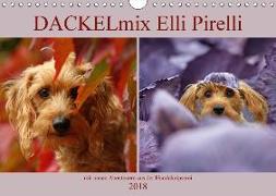 DACKELmix Elli Pirelli (Wandkalender 2018 DIN A4 quer) Dieser erfolgreiche Kalender wurde dieses Jahr mit gleichen Bildern und aktualisiertem Kalendarium wiederveröffentlicht