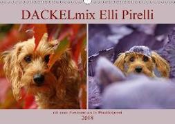 DACKELmix Elli Pirelli (Wandkalender 2018 DIN A3 quer) Dieser erfolgreiche Kalender wurde dieses Jahr mit gleichen Bildern und aktualisiertem Kalendarium wiederveröffentlicht
