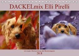 DACKELmix Elli Pirelli (Tischkalender 2018 DIN A5 quer) Dieser erfolgreiche Kalender wurde dieses Jahr mit gleichen Bildern und aktualisiertem Kalendarium wiederveröffentlicht