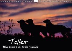 Toller - Nova Scotia Duck Tolling Retriever (Wandkalender 2018 DIN A4 quer) Dieser erfolgreiche Kalender wurde dieses Jahr mit gleichen Bildern und aktualisiertem Kalendarium wiederveröffentlicht