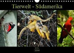 Tierwelt - Südamerika (Wandkalender 2018 DIN A4 quer) Dieser erfolgreiche Kalender wurde dieses Jahr mit gleichen Bildern und aktualisiertem Kalendarium wiederveröffentlicht