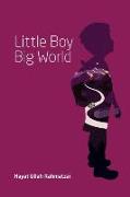 Little Boy Big World