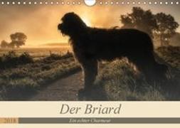 Der Briard 2018 - Ein echter Charmeur (Wandkalender 2018 DIN A4 quer) Dieser erfolgreiche Kalender wurde dieses Jahr mit gleichen Bildern und aktualisiertem Kalendarium wiederveröffentlicht