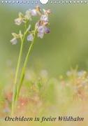 Orchideen in freier Wildbahn (Wandkalender 2018 DIN A4 hoch) Dieser erfolgreiche Kalender wurde dieses Jahr mit gleichen Bildern und aktualisiertem Kalendarium wiederveröffentlicht