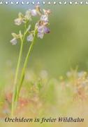 Orchideen in freier Wildbahn (Tischkalender 2018 DIN A5 hoch) Dieser erfolgreiche Kalender wurde dieses Jahr mit gleichen Bildern und aktualisiertem Kalendarium wiederveröffentlicht