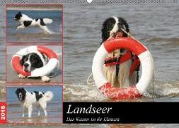 Landseer - Das Wasser ist ihr Element (Wandkalender 2018 DIN A2 quer) Dieser erfolgreiche Kalender wurde dieses Jahr mit gleichen Bildern und aktualisiertem Kalendarium wiederveröffentlicht