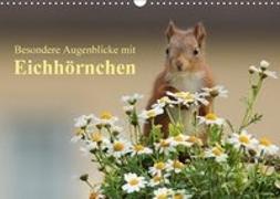 Besondere Augenblicke mit Eichhörnchen (Wandkalender 2018 DIN A3 quer) Dieser erfolgreiche Kalender wurde dieses Jahr mit gleichen Bildern und aktualisiertem Kalendarium wiederveröffentlicht