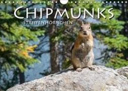 Chipmunks Streifenhörnchen (Wandkalender 2018 DIN A4 quer)