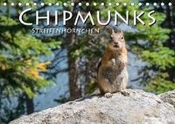 Chipmunks Streifenhörnchen (Tischkalender 2018 DIN A5 quer)