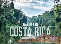 Natur pur, Costa Rica (Wandkalender 2018 DIN A4 quer)