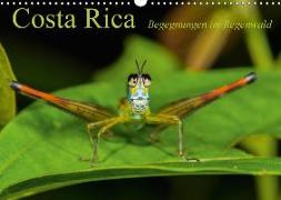 Costa Rica Begegnungen im Regenwald (Wandkalender 2018 DIN A3 quer) Dieser erfolgreiche Kalender wurde dieses Jahr mit gleichen Bildern und aktualisiertem Kalendarium wiederveröffentlicht