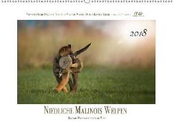 Niedliche Malinois Welpen (Wandkalender 2018 DIN A2 quer) Dieser erfolgreiche Kalender wurde dieses Jahr mit gleichen Bildern und aktualisiertem Kalendarium wiederveröffentlicht