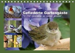 Gefiederte Gartengäste (Tischkalender 2018 DIN A5 quer)