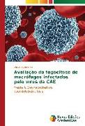 Avaliação da fagocitose de macrófagos infectados pelo vírus da CAE