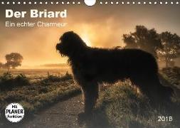 Der Briard 2018 - Ein echter Charmeur (Wandkalender 2018 DIN A4 quer) Dieser erfolgreiche Kalender wurde dieses Jahr mit gleichen Bildern und aktualisiertem Kalendarium wiederveröffentlicht