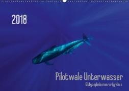Pilotwale Unterwasser - Globicephala macrorhynchus (Wandkalender 2018 DIN A2 quer) Dieser erfolgreiche Kalender wurde dieses Jahr mit gleichen Bildern und aktualisiertem Kalendarium wiederveröffentlicht