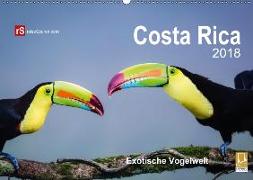 Costa Rica 2018 Exotische Vogelwelt (Wandkalender 2018 DIN A2 quer)