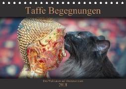 Taffe Begegnungen-Drei Waldkatzen auf Abenteuerreisen (Tischkalender 2018 DIN A5 quer)