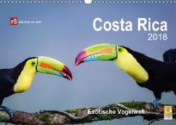 Costa Rica 2018 Exotische Vogelwelt (Wandkalender 2018 DIN A3 quer)