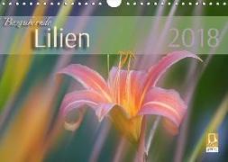 Bezaubernde Lilien (Wandkalender 2018 DIN A4 quer)