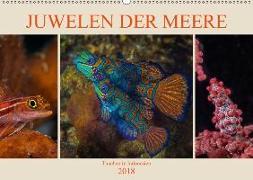 Juwelen der Meere (Wandkalender 2018 DIN A2 quer)