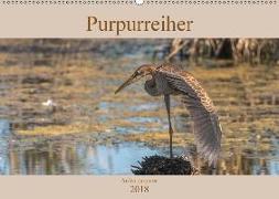 Purpurreiher (Wandkalender 2018 DIN A2 quer)