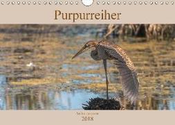 Purpurreiher (Wandkalender 2018 DIN A4 quer)