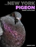 The New York Pigeon