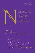 The Nature of Negative Numbers