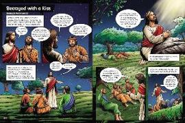 Bibleforce: The First Heroes Bible