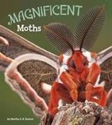 Magnificent Moths