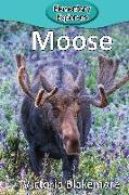 Moose