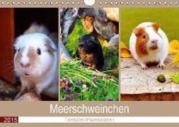 Meerschweinchen 2018. Tierische Impressionen (Wandkalender 2018 DIN A4 quer)