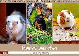 Meerschweinchen 2018. Tierische Impressionen (Wandkalender 2018 DIN A3 quer)