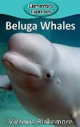 Beluga Whales