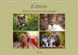 Kittens - Britisch Kurzhaar Katzenkinder (Tischkalender 2018 DIN A5 quer)