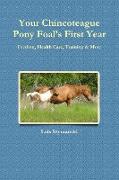 Your Chincoteague Pony Foal's First Year