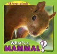 What's a Mammal?