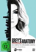 Grey's Anatomy - 13. Staffel