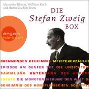 Die Stefan Zweig Box (Brennendes Geheimnis / Meistererzählungen / Essays)